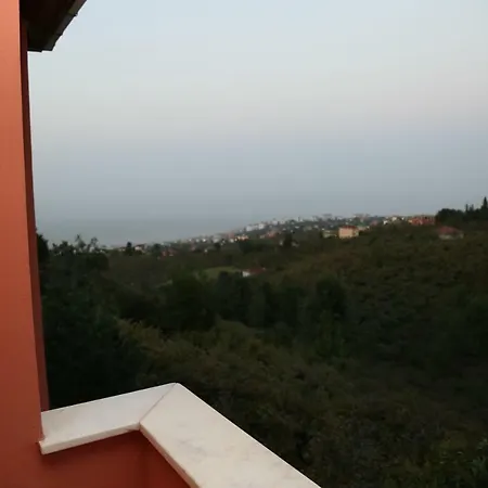 De North * Trabzon